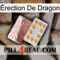 Érection De Dragon new13